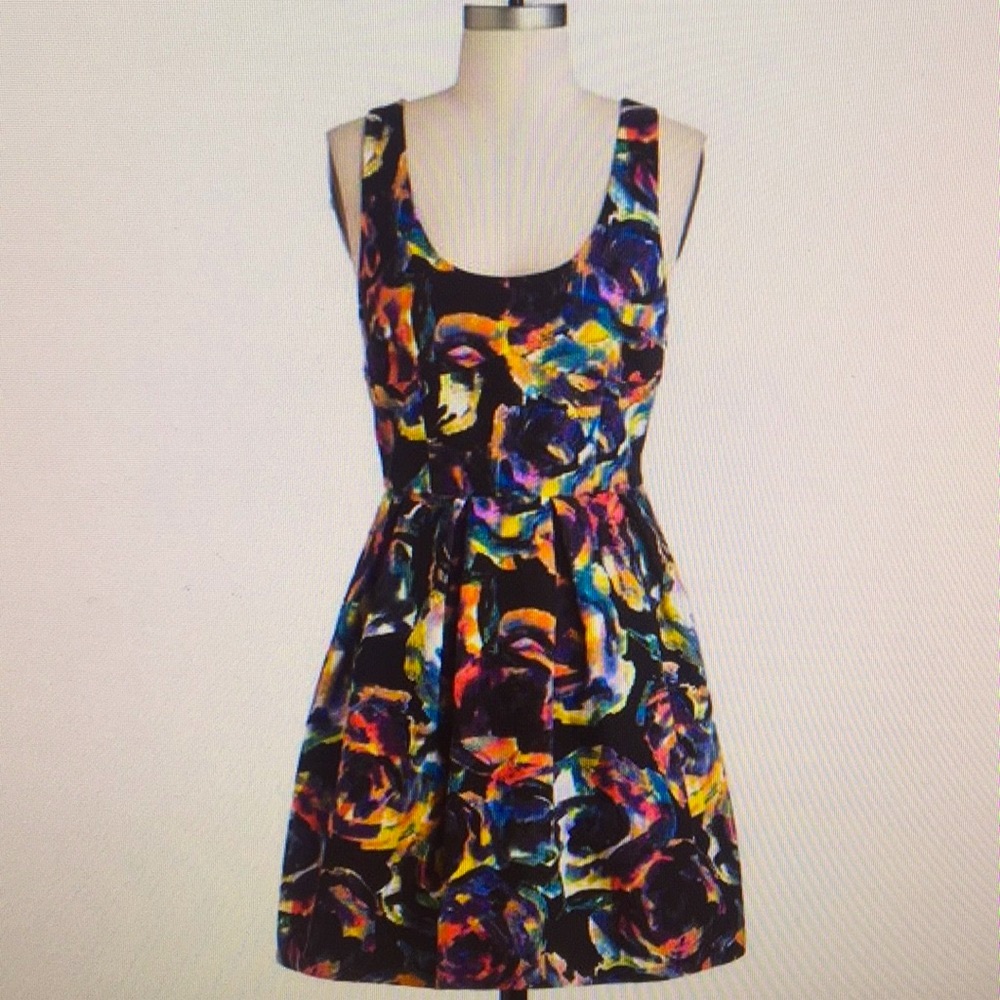 Never worn BB Dakota Glow and Behold Dress by Jack